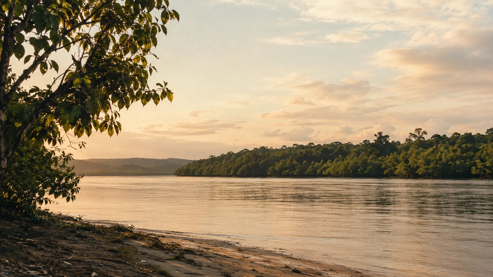 Daintree River