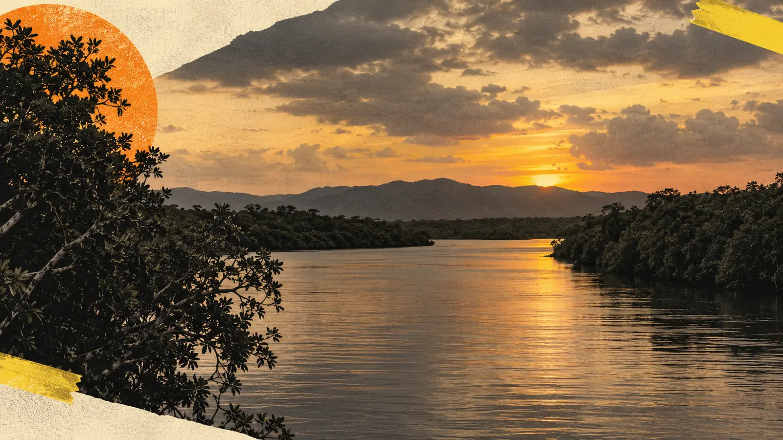 Daintree River