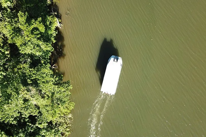 Aerial view of a white boat travelling on a green river beside a forested bank.